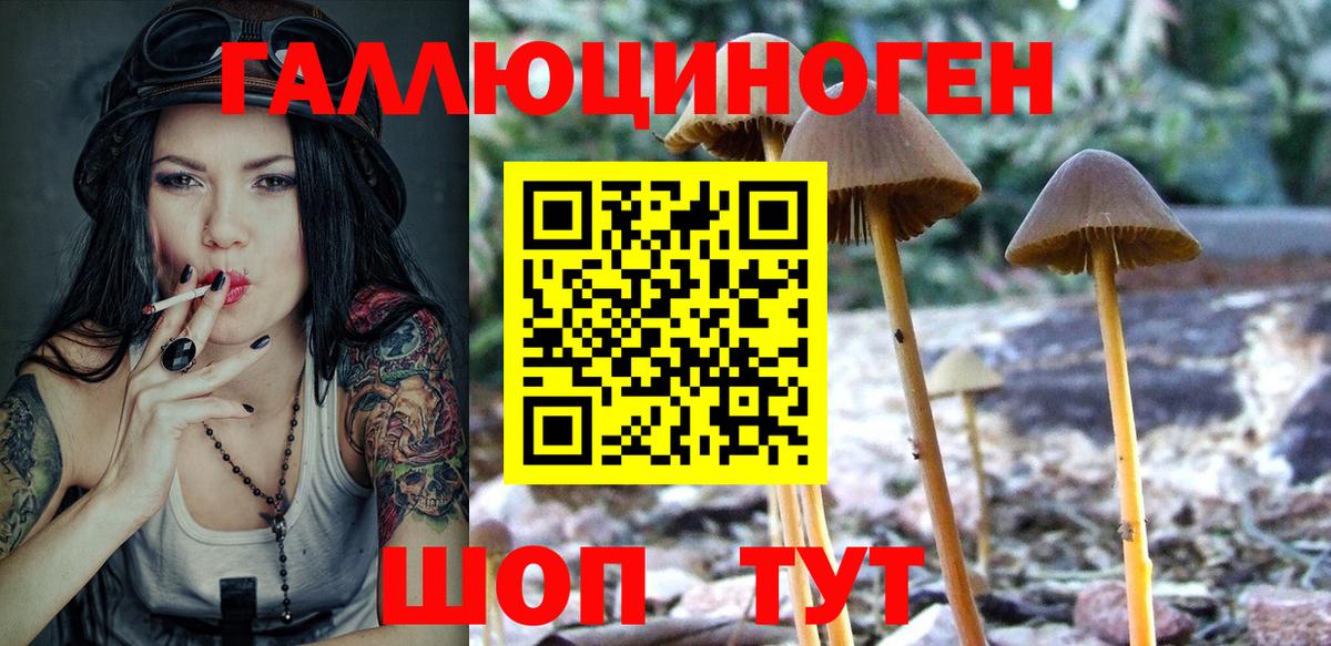 Кыштым  Псилоцибиновые грибы мухоморы  Вход с VPN 