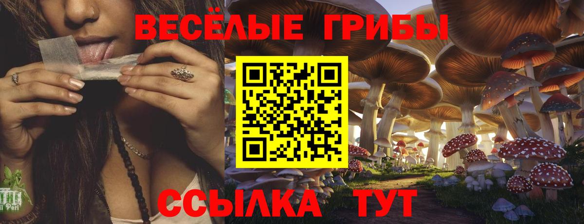 Псилоцибиновые грибы GOLDEN TEACHER Кыштым